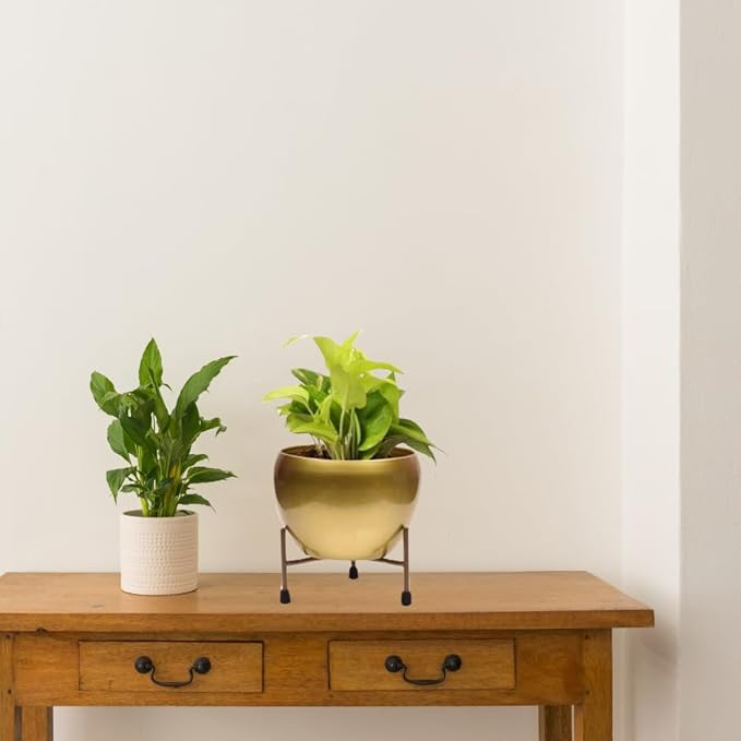 Gold Glaze Ceramic Planter - 4.7 Inches (MVS)