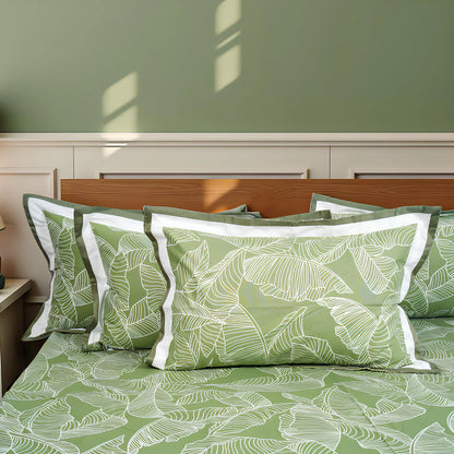 Lavish Olive Grove 100% Cotton King-Size Bedsheet + 2 Pillow Covers