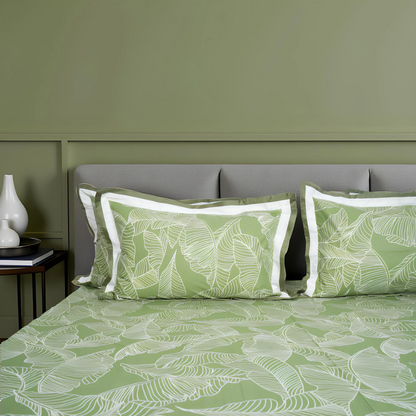 Lavish Olive Grove 100% Cotton King-Size Bedsheet + 2 Pillow Covers