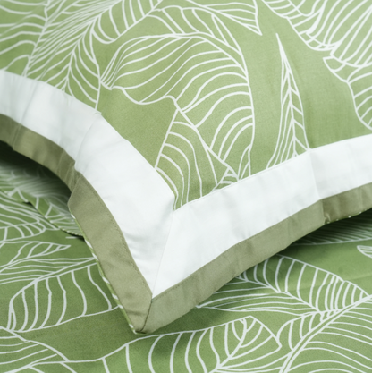 Lavish Olive Grove 100% Cotton King-Size Bedsheet + 2 Pillow Covers