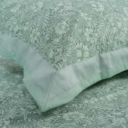 Lavish Sage Green 100% Cotton King-Size Bedsheet + 2 Pillow Covers