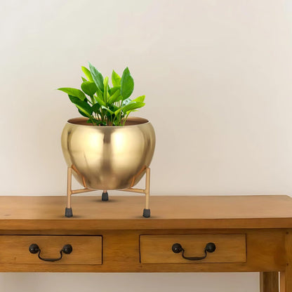 Gold Glossy Ceramic Planter - 4.7 Inches (MVS)