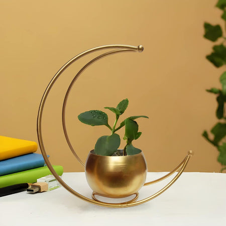 Gold Moon Shape Planter - 4.7 Inches (MVS)