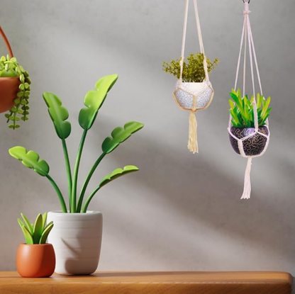 Macramé Elegance Hanging Planter - 29.5 Inches (MVS)