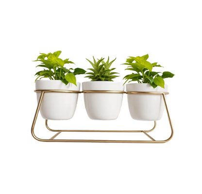 Trio White Metal with Stand Planter - 14 Inches (MVS)