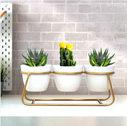 Trio White Metal with Stand Planter - 14 Inches (MVS)
