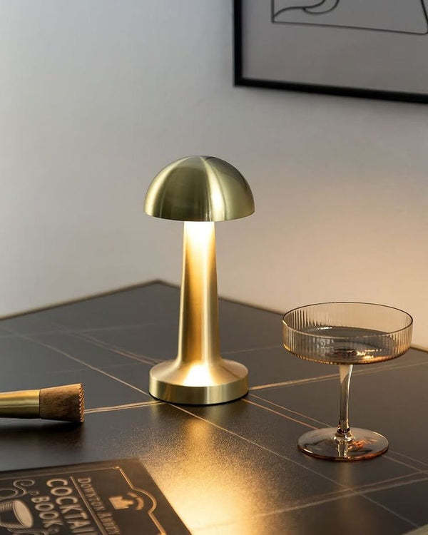 Dome Lamp (PL) Urban Nivasa