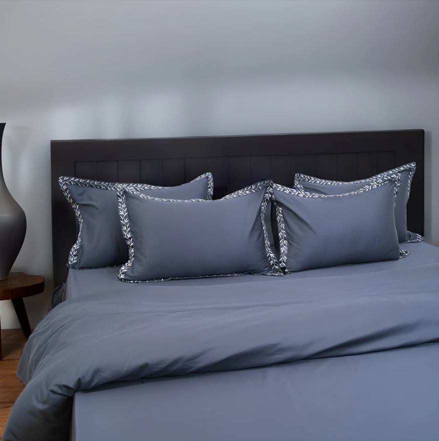 Pristine Cloud Border (300 TC) - 100% Cotton King-Size Bedsheet + 2 Pillow Covers