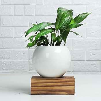 Minimalist Ceramic Round Vase - (MVS)